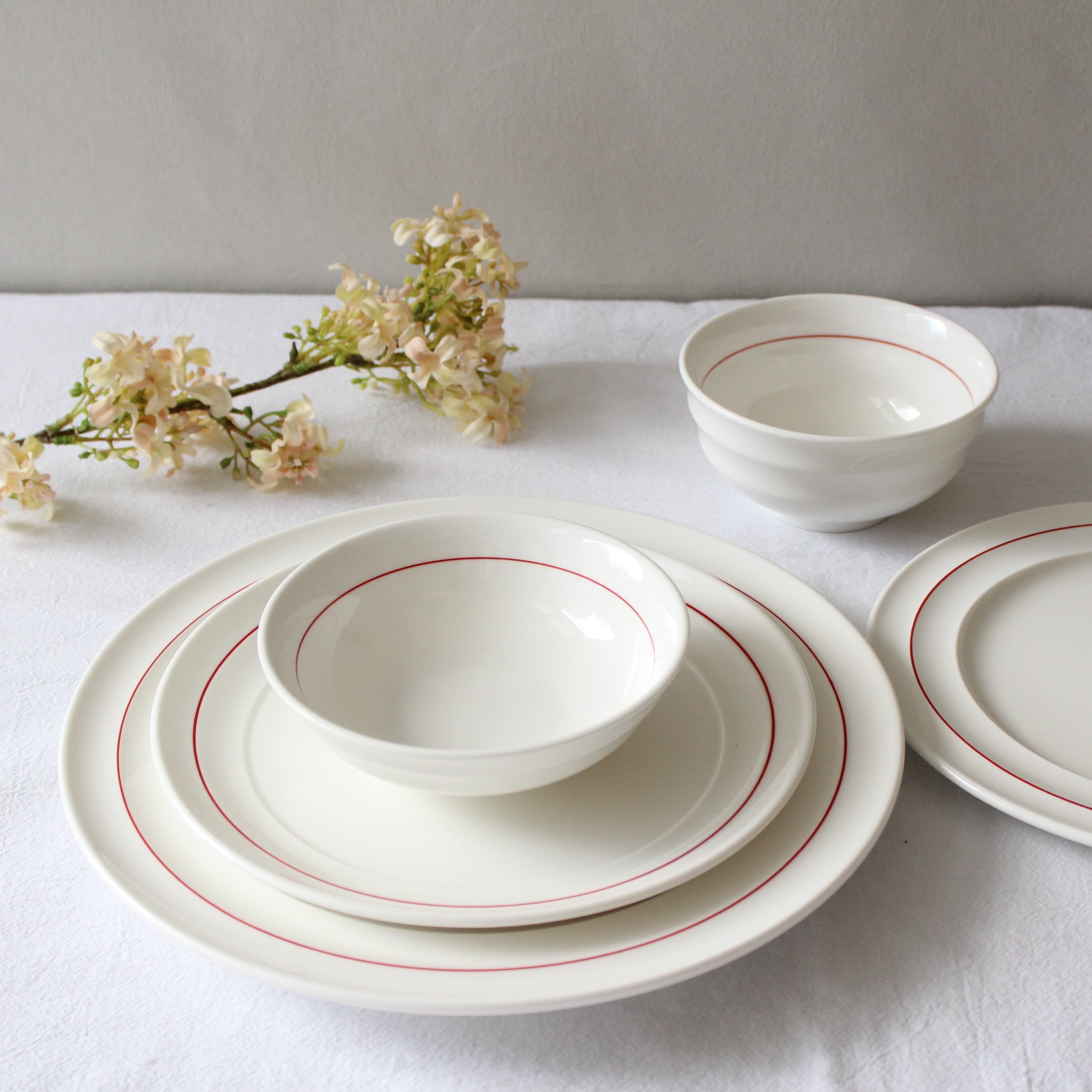 FRISO main collection image
